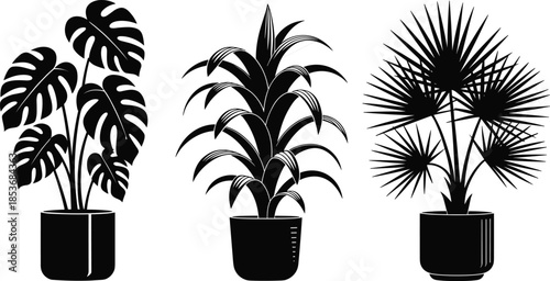 Black silhouette potted plants, Monstera, Dracaena, fan palm, tropical houseplants, indoor foliage, botanical vector illustration, home décor design, exotic leaf art
