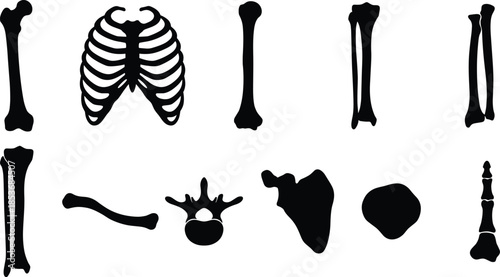 Human skeleton bones silhouette set including ribs skullless elements and anatomy shapes isolated on white background for medical design