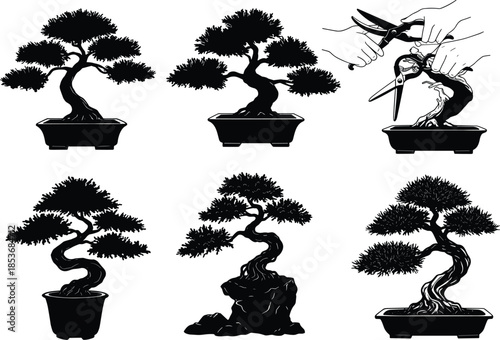 Bonsai tree silhouette illustration, Japanese art design, miniature tree pruning, traditional bonsai gardening, plant care artwork, decorative bonsai vector, nature growth drawing, styled tree