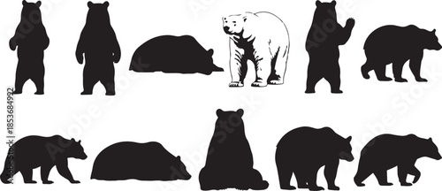 Assortment of Black and White Bear Silhouettes and Drawing