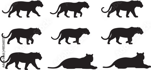 Black silhouettes of tigers in various poses animal