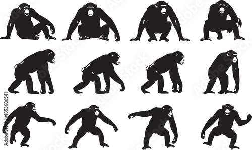 Collection of Chimpanzee Silhouettes in Various Poses Keywords: chimpanzee silhouettes, ape