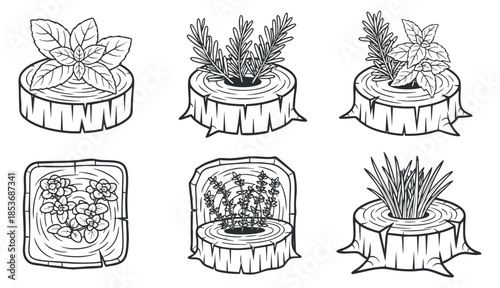 A collection of five plant illustrations in outline style, featuring various herbs and flowers in tree stump pots, suitable for botanical design projects