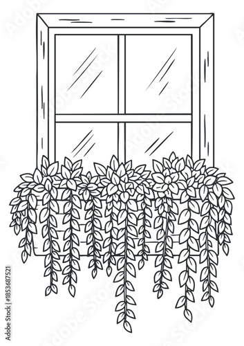 A window with potted flowers and hanging plants in outline style, ideal for home decor and botanical illustrations