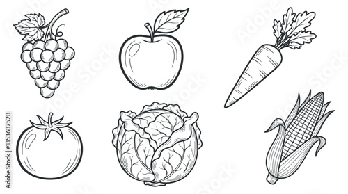 A collection of outline illustrations featuring grapes, an apple, a carrot, a tomato, cabbage, and corn in black and white style, suitable for healthy food designs
