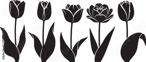Five black tulip silhouettes with leaves flower bloom