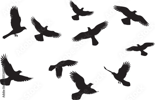 Flock of Birds Silhouettes in Flight black flying