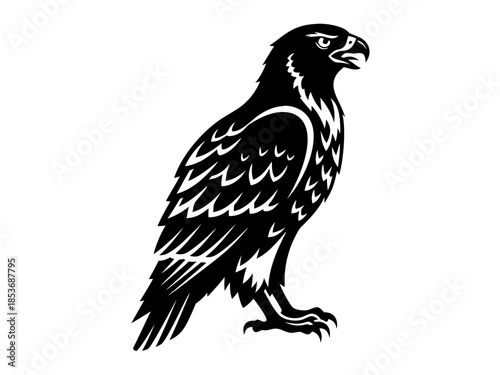 Majestic Eagle Silhouette - A Symbol of Freedom and Power