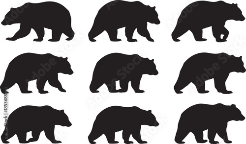 Nine Bear Silhouettes in Black and White animal graphic