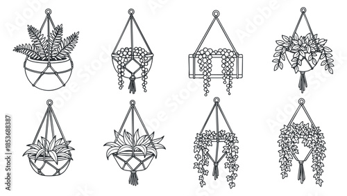 A collection of hanging plant pots in line art style, featuring various indoor plants, ideal for home decor and interior design projects
