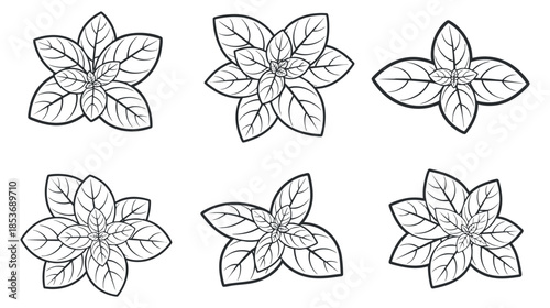 A collection of six floral illustrations featuring leaves and petals in black and white outline vector style, suitable for nature-themed design projects