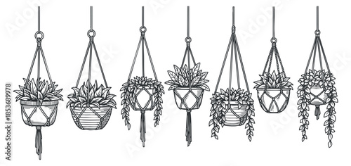 A collection of hanging plants in outline vector style, perfect for home decor and botanical designs