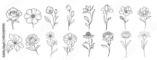 Hand drawn floral line art collection, botanical flower illustrations and wild plants in outline style, elegant sketch flowers for design decoration and branding on transparent background