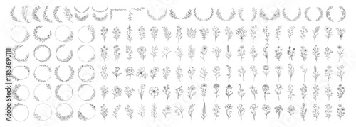 Botanical floral elements collection, hand drawn flowers branches wreaths and frames, elegant vintage line art vector set for wedding invitation and design on transparent background