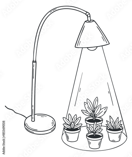 A stylish desk lamp illuminating a collection of potted plants in minimalist black outline vector style, ideal for home decor and interior design projects