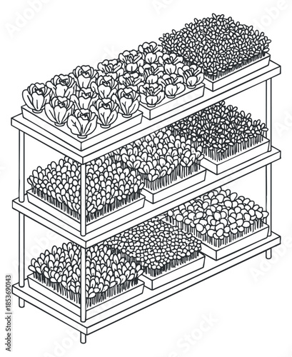 A vertical shelf display of assorted seedlings and sprouts in outline vector style, ideal for gardening and hydroponics projects