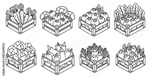 A collection of vegetable crates featuring carrots, tomatoes, broccoli, and lettuce in black and white line art style, suitable for food-related designs
