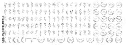 Botanical floral elements collection, hand drawn flowers branches wreaths and frames, elegant vintage line art vector set for wedding invitation and design on transparent background