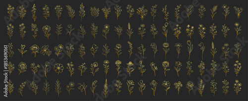 Gold hand drawn floral elements collection, elegant botanical flowers and leaves line art, luxury decorative design set for wedding and invitation on transparent background