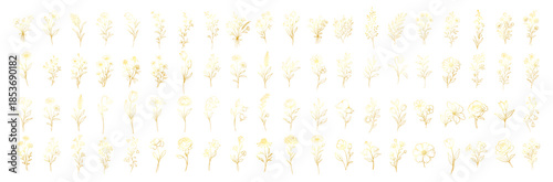 Gold hand drawn floral elements collection, elegant botanical flowers and leaves line art, luxury decorative design set for wedding and invitation on transparent background