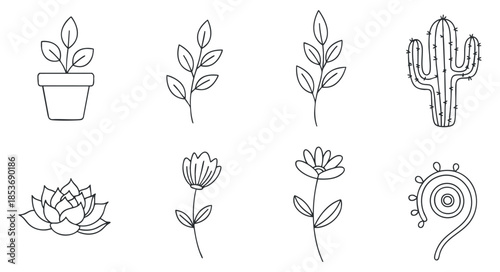 A set of botanical outline illustrations featuring various plants, flowers, and cacti in minimalist vector style, ideal for nature-themed designs