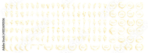 Golden floral wreaths and botanical elements collection, elegant line art flowers and circular frames, luxury decorative wedding invitation design set on transparent background