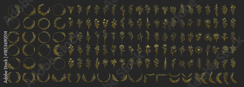 Golden floral wreaths and botanical elements collection, elegant line art flowers and circular frames, luxury decorative wedding invitation design set on transparent background