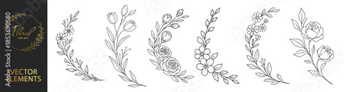 Floral wreath frames and circular botanical borders, elegant hand drawn line art flowers and leaves, decorative wedding invitation design set on transparent background