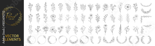 Hand drawn floral elements collection, botanical flowers leaves wreaths and circular frames, elegant vintage line art decorative set for wedding and invitation design on transparent background