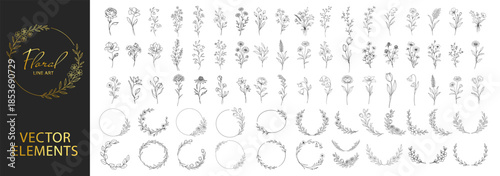 Floral line art botanical elements set, flowers branches and wreath frames, elegant hand drawn outline vector collection for wedding and branding on transparent background