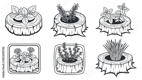 A collection of six decorative plant pots in wooden stumps in black and white outline vector style, suitable for gardening projects and eco-friendly designs