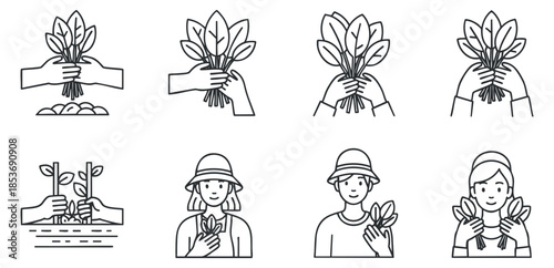 A collection of line art illustrations depicting hands holding plants, showcasing gardening and cultivation themes in minimalist vector style, ideal for eco-friendly projects