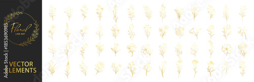 Elegant floral wreath vector set, botanical line art frames for wedding invitations logos and branding, decorative circular floral designs in gold style on transparent background