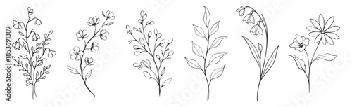 Floral botanical flower set, elegant hand drawn outline vector illustration, minimal line art wildflowers and rose collection on transparent background