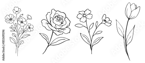 Hand drawn floral flower set, botanical line vector illustration with rose and wildflowers, elegant minimalist outline design for wedding decoration on transparent background