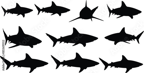 A captivating collection of diverse shark silhouettes in various dynamic swimming poses