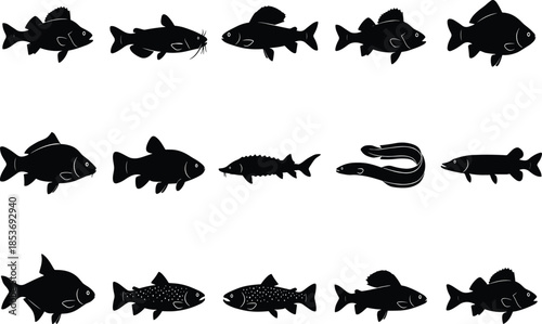 Freshwater fish silhouettes set displaying diverse species shapes isolated on white background for fishing, biology, education, and vector design useFreshwater fish silhouettes
