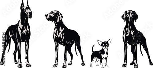 Set of black and white vector illustrations of different dog breeds including Great Dane and Chihuahua isolated on a white background