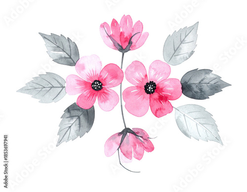 Watercolor floral arrangement with pink blooms and gray leaves on black