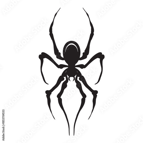 spider vintage drawing vector illustration