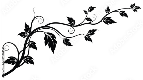 Elegant black floral vine design with swirling stems and detailed leaves