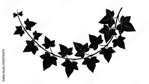 A delicate black silhouette of trailing ivy leaves and winding stem