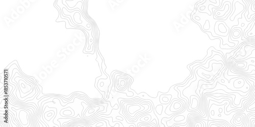 White wave paper curved reliefs abstract background. The topographic map contour in lines isolated. Abstract white topographic map background with lines. Background of the topography map.