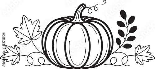Illustrated autumn pumpkin