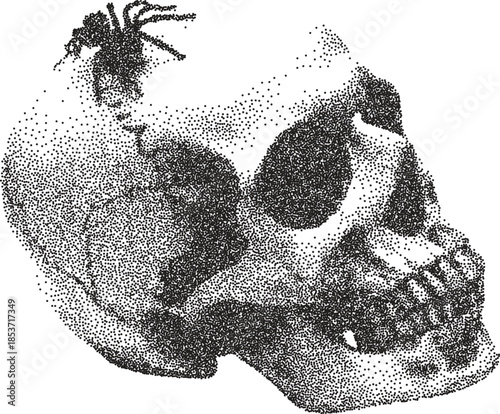 Skull y2k retro stipple art skeleton brutalist halftone vector png transparent, bone 2000s photocopy effect tattoo aesthetic