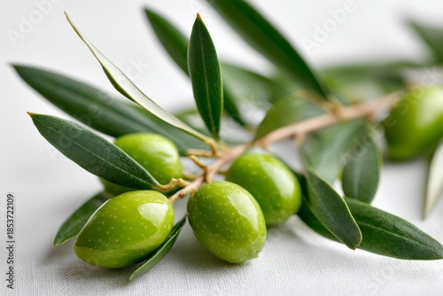 Wallpaper Mural Fresh green olives on branch with leaves Torontodigital.ca