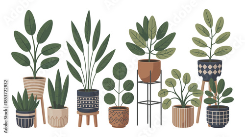 A diverse collection of potted houseplants arranged artfully