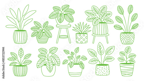 A collection of various potted plants drawn in a simple green line art style