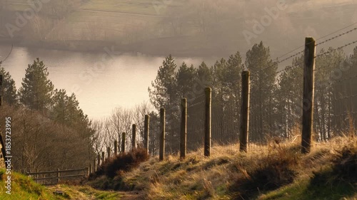 Pathway leading to lake 