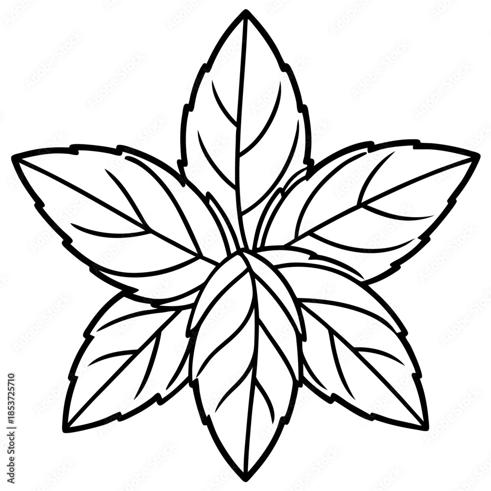 Obraz premium Mint line art vector